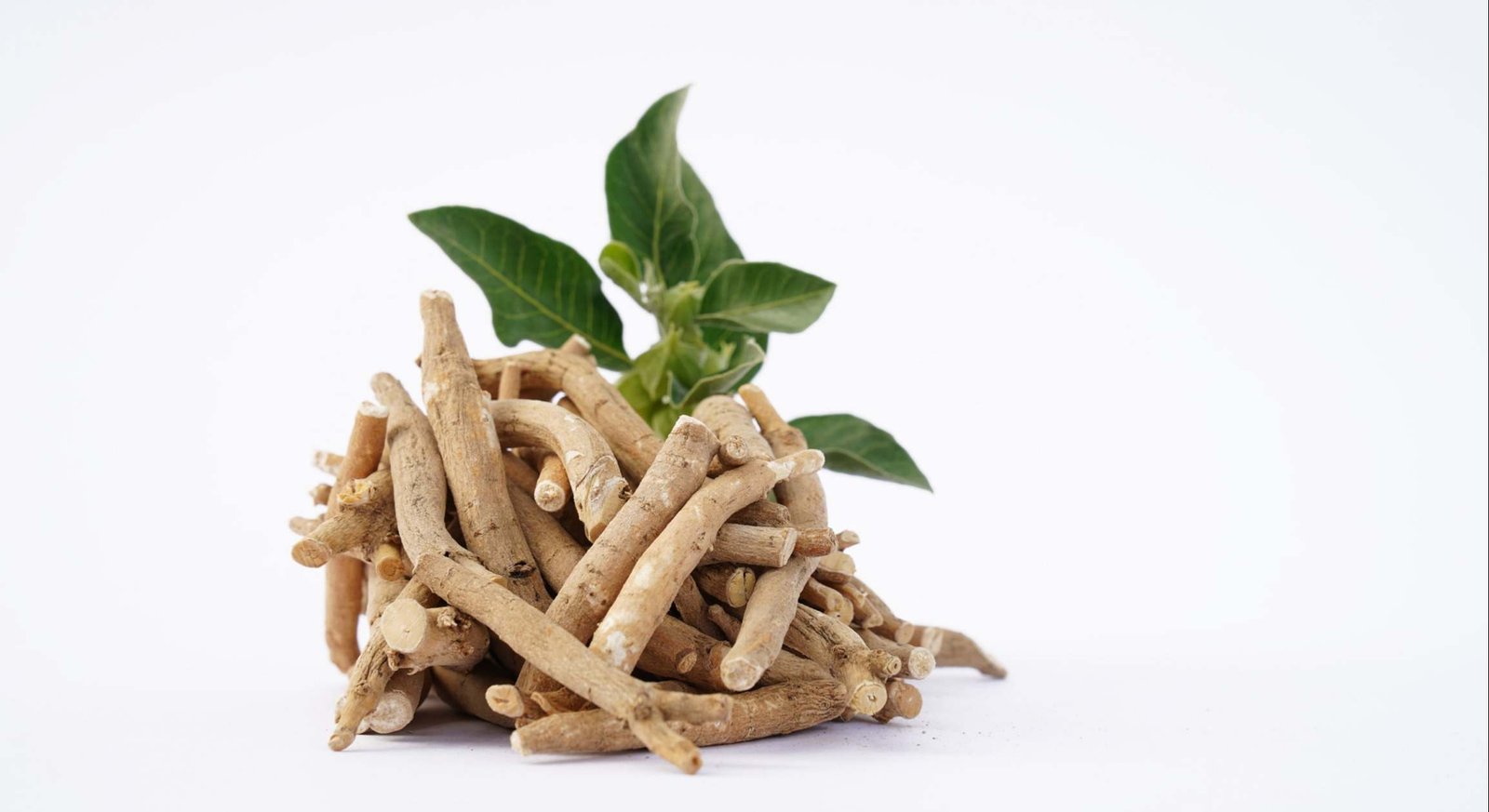 ashwagandha.jpg